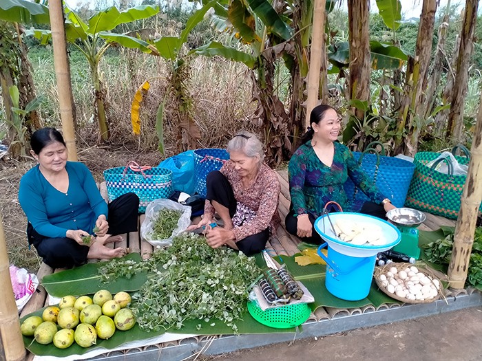 Ra mắt tour du lịch chợ quê cồn Tân Thuận Đông, Đồng Tháp